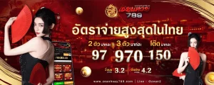 เว็บ วันดี BY วัน ดี 789